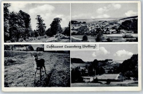 37586 W3354 Lauenberg - Eichen Hochwald, Schwimmbad, Reh