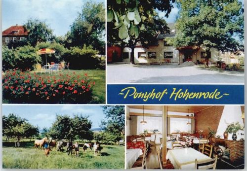 Rinteln Ponyhof Hohenrode