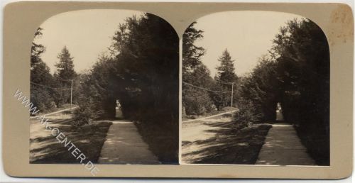 ca. 8 x 19 cm
