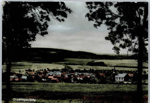54534 W5561 Großlittgen - Gasthaus Pension Heck