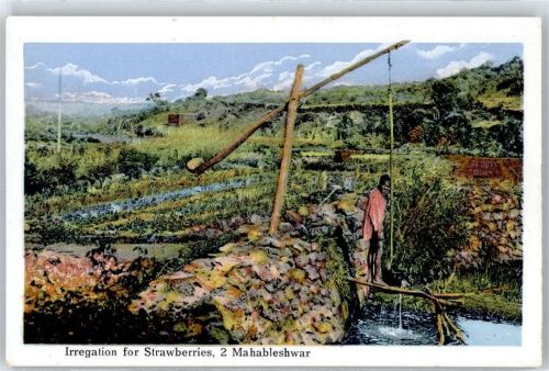 Bombay Mahableshwar, Bewässerung, Brunnen
