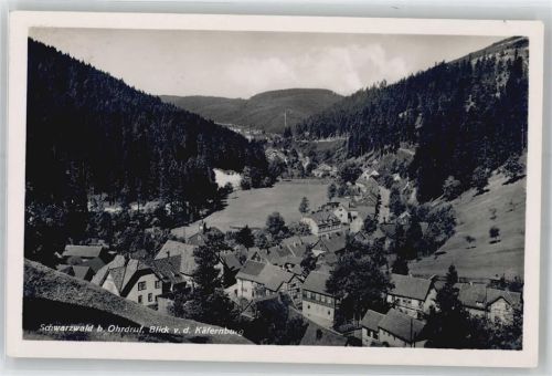 Ohrdruf Blick von der Käfernburg
