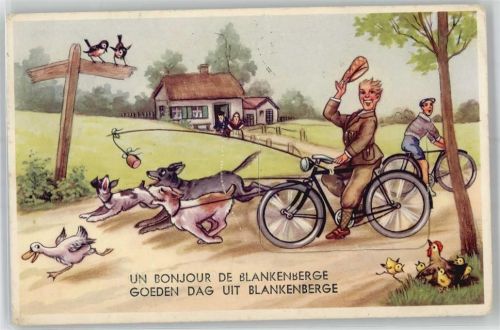 Blankenberghe Leporello, Fahrrad, Hund