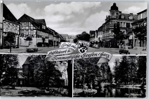 38723 W3370 Seesen , Harz - Jacobsenstrasse Burg Sehusa Kurpark