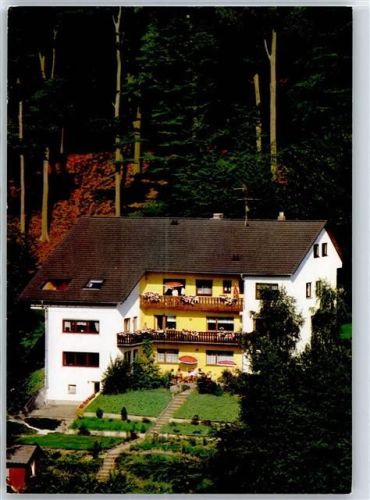 64689 W6149 Hammelbach - Haus Buchenhain AKU1