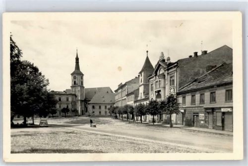 Králiky