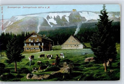 Krummhübel Schlingelbaude