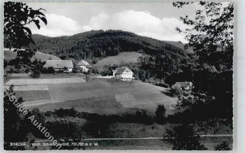 Bürchau