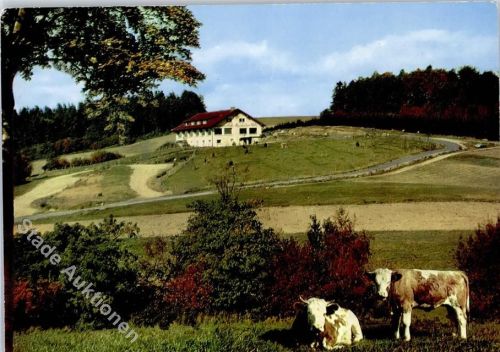 Wald-Michelbach Hotel Gasthaus Cafe Kreidacher Höhe Kuh