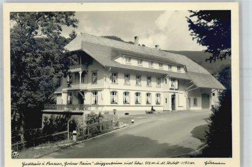 Muggenbrunn Gasthaus Pension grüner Baum