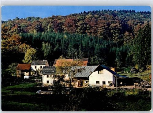 54636 W5521 Baustert - Ponyhof Ferienhof Glashütte AKU2