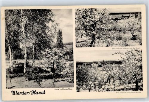 Werder Baumblüte