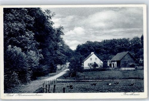 33014 W3490 Bad Hermannsborn - Forsthaus