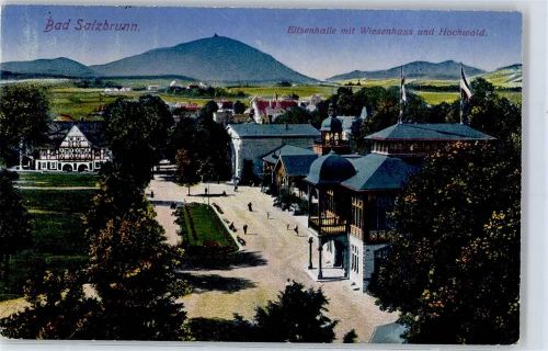 Bad Salzbrunn 1913 Elisenhalle mit Wiesenhaus und Hochwald