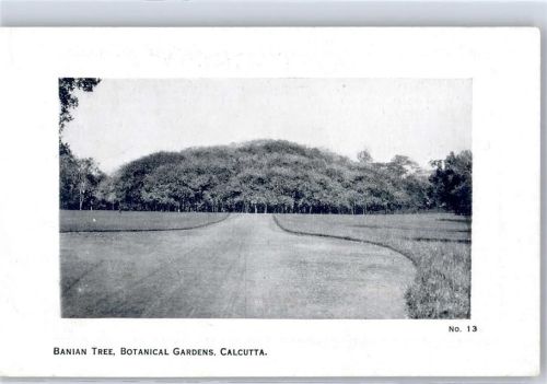 Calcutta Banian Tree Botanical Gardens