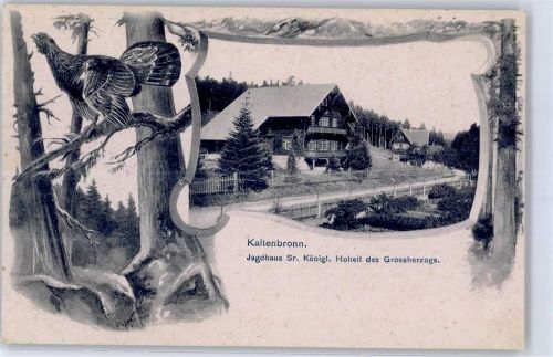 Kaltenbronn Jagdhaus Sr. Königl. Hoheit des Grossherzogs
