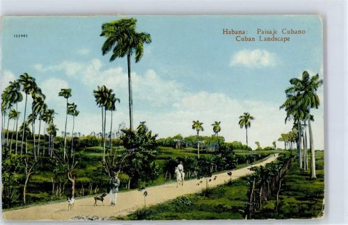 Havanna Cuban Landscape
