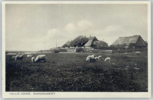 Backenswarft