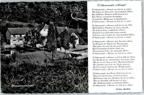 Oberharmersbach Cafe Pension Zum Schwarzwald Idyll