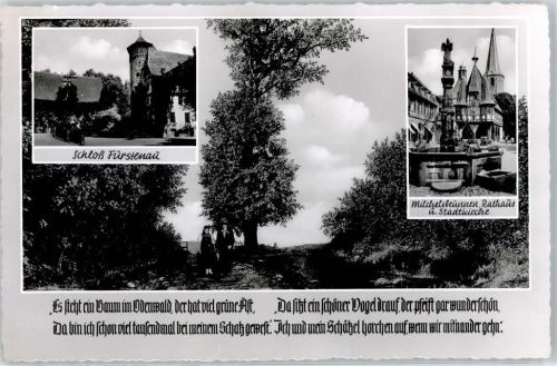 Michelstadt Schloss Fürstenau Michelsbrunnen Rathaus