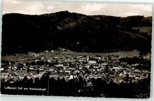 Zell