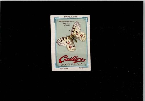 Schmetterling Vignette