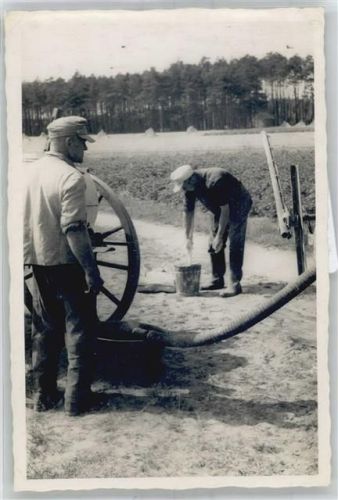 Jessen Landwirtschaft Pferd Ort lt. Fotograf