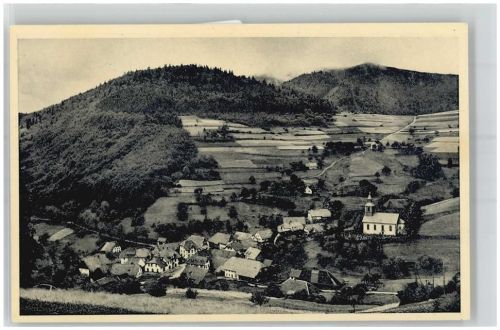 79691 W7861 Neuenweg