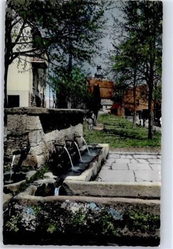 Vielbrunn Dorfbrunnen