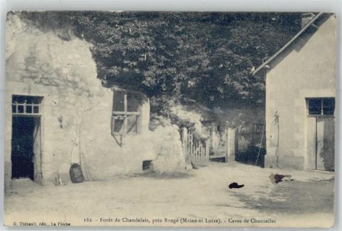 Le Guedeniau Foret de Chandelais