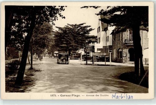 Carnac Avenue des Druides
