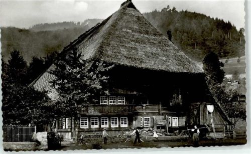 Schwarzwaldhaus Foto AK