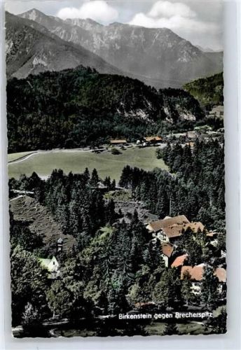 Birkenstein