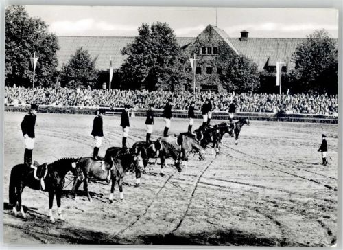 Warendorf Warendorfer Hengstparade