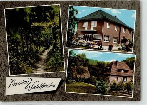 27305 W2814 Heiligenberg , Kr Grafsch Hoya - Pension Waldfrieden Ahlers-Ledebur