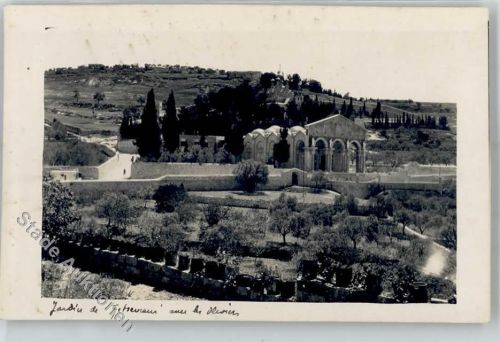 Jerusalem Jardin de Getsemani