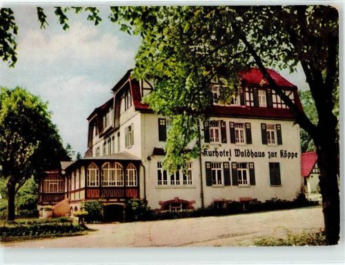 Bad Klosterlausnitz Hotel Waldhaus zur Köppe