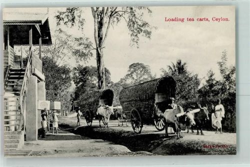 Loading tea carts Motiv Sri Lanka / Ceylon