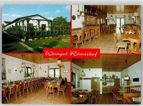 55435 W6535 Gau-Algesheim - Weingut Gasthaus Römerhof Familie Dickenscheid