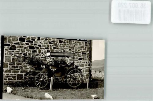 Altenhellefeld Kutsche beim Hotel Gut Funkenhof Foto Original aus Archiv eines Ansichtskartenverlags Ort handschriftlich