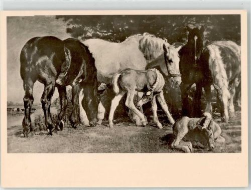 München Junghanns, Julius Paul Frühsommertag Pferd Fohlen PH. HDK 643