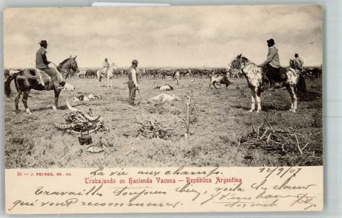 Buenos Aires 1907 Trabjando en hacienda Vacuna Ort lt. Stempel