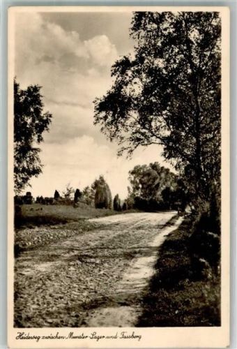Faßberg Heiderweg zwischen Munster Lager u. Fassberg
