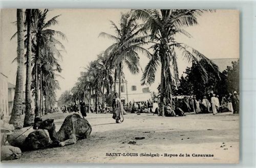 St. Louis Repos de la Caravane Kamel