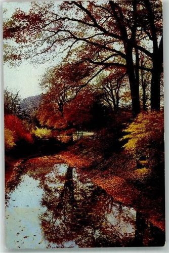 Dresden Großer Garten Photochromie
