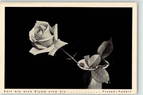 Zwingenberg Rose in Vase