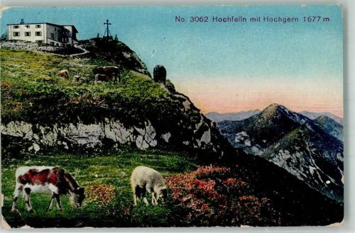 Hochfellnhaus 1923 Gasthaus Gipfelkreuz Schafe Ziege