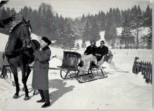 Unterlauterbach Pferdeschlitten im Winter