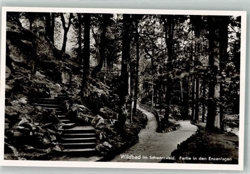 Bad Wildbad Waldwege in den Enzanlagen