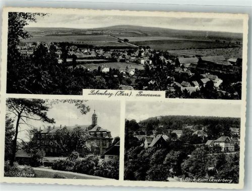 Liebenburg Schloss Blick zum Lewerberg
